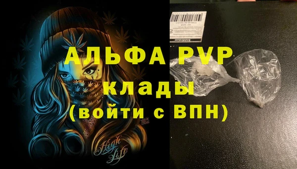 амф Абаза