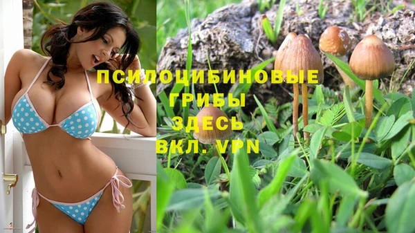 амф Абаза